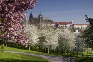 Pražský hrad, Hradčany, Malá strana