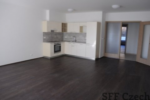 New modern apartment for rent close to Vysehrad