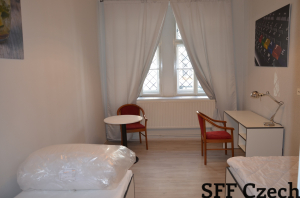 Short-term rent flat in Prague 3, fully furnished 