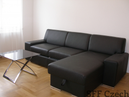 Furnished apartment, Prague 2, Vinohrady, Manesova