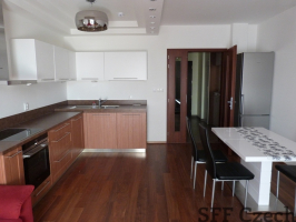 Luxury modern furnished flat next to Andel Prague 10