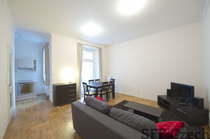 2 bedroom furnished flat Prague 2 Vratislavova