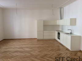 Luxury 2 bedroom apartment Pechackova next to river