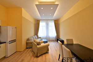Luxury 2 bedroom flat Vinohrady Machova 