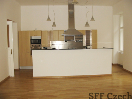 2 bedroom luxury flat Vinohrady Manesova