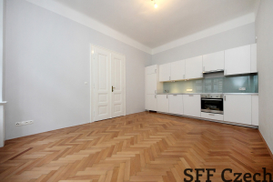 Nice new apartment to rent close center of Prague