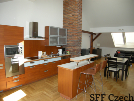 Luxury 2 bedroom apartment Prague 2