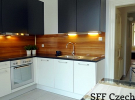 Nice 2+1 apartment in Prague 2 namesti Miru