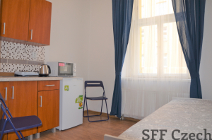 Small cozy cheap furnished studio Prague Nusle 