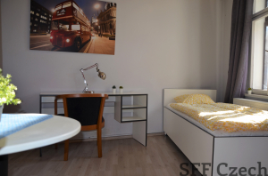 Furnished studio to rent in Prague 3 close to center