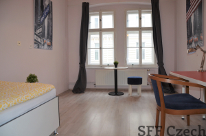 Furnished student 1 bedroom flat to rent close to center Prague 3