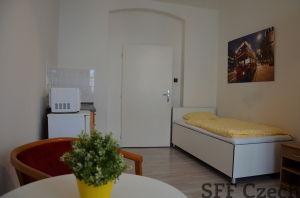 Furnished studio to rent in Prague 3 close center