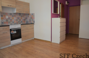 Furnished studio to rent Prague 4 close center