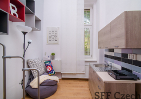 Nice modern studio to rent in Prague 4 Nusle close to center