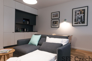 Prague 6 fully furnished modern studio to rent