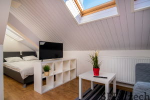 Furnished attic studio apartment to rent Prague 4 Nusle close to center