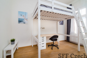 Nice fully furnished student room in a shared apartment Prague 2