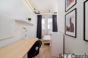 New attic furnished room to rent in shared flat Prague 2 close to center