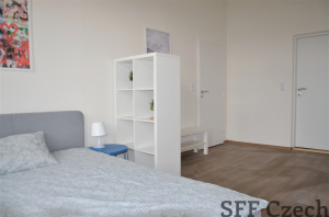 New furnished 1 bedroom apartment to rent Prague 2 - Nové město