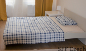 Furnished room to rent in shared attic flat Prague 2 - Nové město