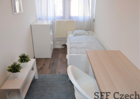 Furnished room to rent in attic flatshare, Prague 2 close to center