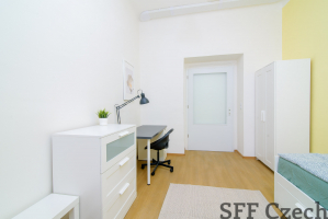 Furnished new room with private bathroom to rent Prague 2 - Nové město 