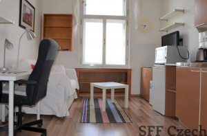 Furnished cozy studio for rent close to I.P. Pavlova and center