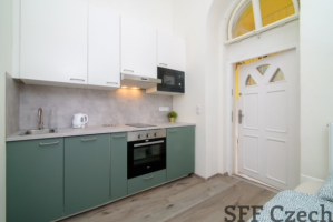 Cozy studio flat to rent Prague 2 in vicinity to all metro lines and center