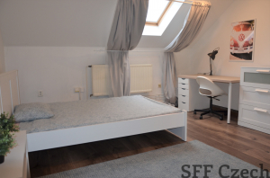 Nice furnished attic room to rent in flatshare, Praha 2 -Nové město