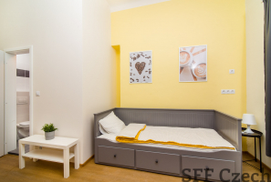Zařízený pokoj s privátní koupelnou k pronájmu Praha 2 blízko metra