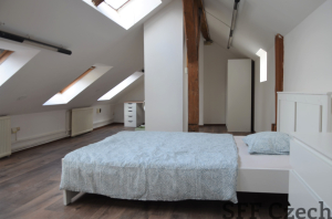 Large attic private room to rent Prague 2 close to center and metro