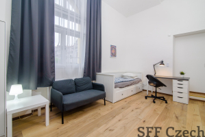 Modern studio to rent center of Prague Sokolska