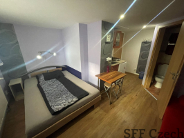 Furnished cozy studio flat to rent Prague 5 - Jinonice