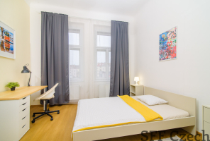 Furnished room with private bathroom to rent in center Prague 2 - Nové město 