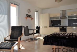 Nice modern fully furnished studio with parking Stodulky 