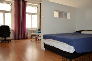 Large furnished room to rent close I.P. Pavlova and namesti Miru, Prague 2