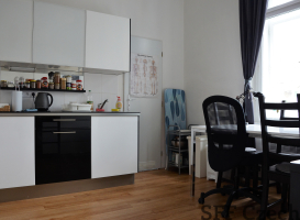 Very nice apartment 1+1 to rent in Prague 2 Koubkova 