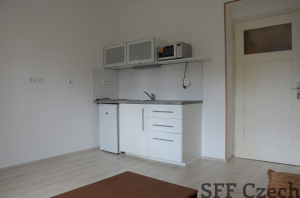 Nice apartment 1+1 to rent Dvorecka Prague 4 Podoli 